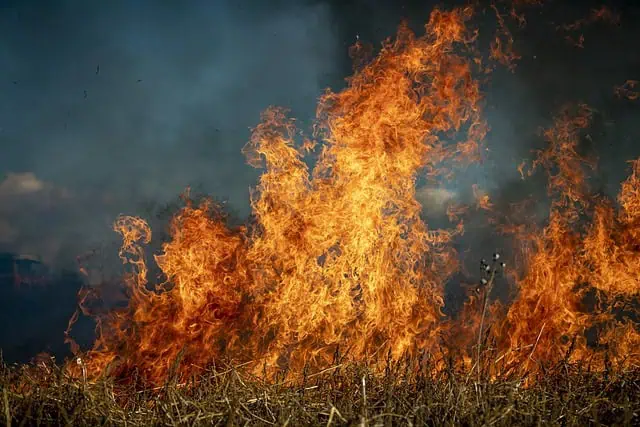 "The Siege Diet: How Food Became a Lethal Weapon in Medieval Warfare" 3 fire gec3fe54f0 640
